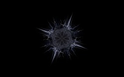 2014 12 15 Shadow Play 039-black.jpg